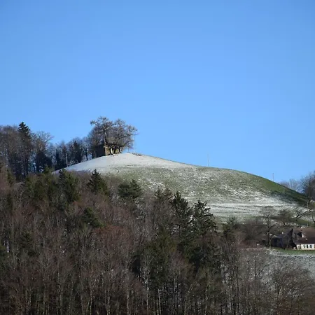 Vorderleggiswil Bed & Breakfast *