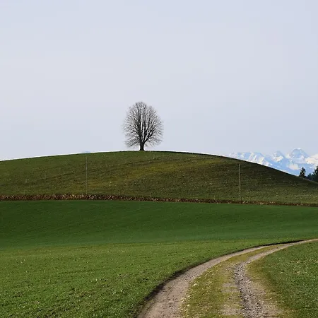 Bed & Breakfast Vorderleggiswil